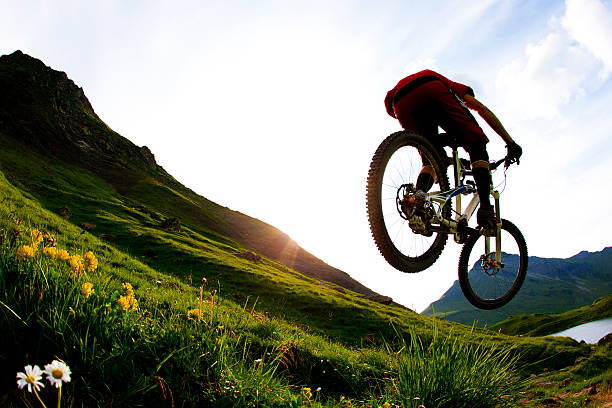 stem in bike